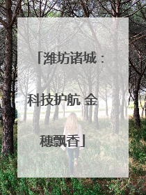 潍坊诸城：科技护航 金穗飘香