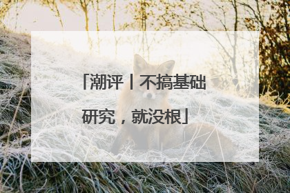 潮评丨不搞基础研究，就没根