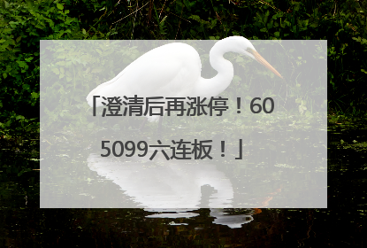 澄清后再涨停！605099六连板！