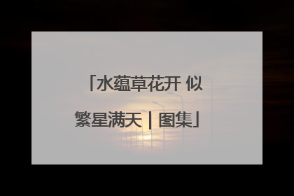 水蕴草花开 似繁星满天｜图集