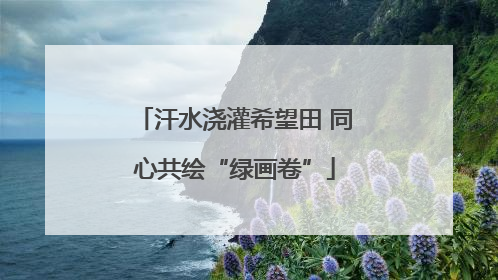 汗水浇灌希望田 同心共绘“绿画卷”