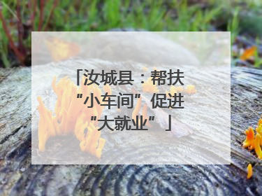 汝城县：帮扶“小车间”促进“大就业”