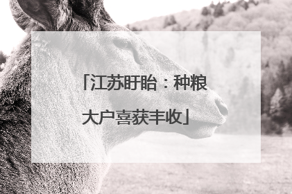 江苏盱眙：种粮大户喜获丰收