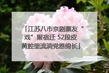 江苏八市京剧票友“戏”聚宿迁 52段皮黄腔里流淌党恩绵长