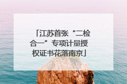 江苏首张“二检合一”专项计量授权证书花落南京