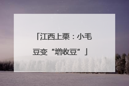 江西上栗：小毛豆变“增收豆”