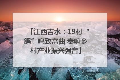江西吉水：19村“鸽”鸣致富曲 奏响乡村产业振兴强音