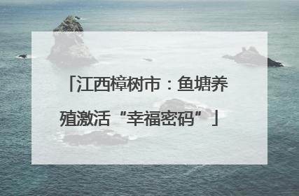 江西樟树市：鱼塘养殖激活“幸福密码”