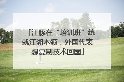 江豚在“培训班”练就江湖本领，外国代表想复制技术回国
