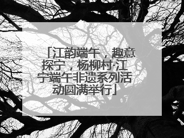 江韵端午，趣意探宁，杨柳村·江宁端午非遗系列活动圆满举行