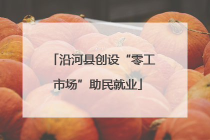沿河县创设“零工市场”助民就业