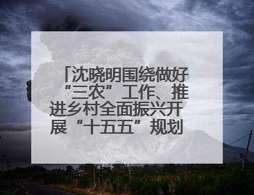 沈晓明围绕做好“三农”工作、推进乡村全面振兴开展“十五五”规划专题调研