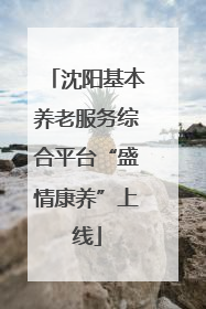 沈阳基本养老服务综合平台“盛情康养”上线