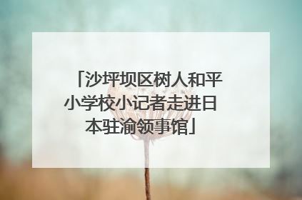 沙坪坝区树人和平小学校小记者走进日本驻渝领事馆