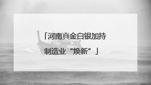 河南真金白银加持制造业“焕新”