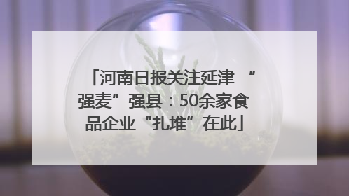河南日报关注延津 “强麦”强县：50余家食品企业“扎堆”在此