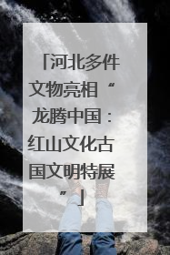 河北多件文物亮相“龙腾中国：红山文化古国文明特展”