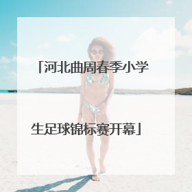 河北曲周春季小学生足球锦标赛开幕