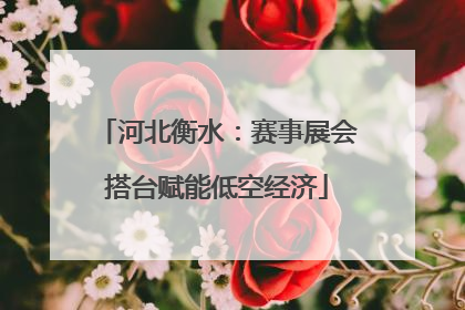 河北衡水：赛事展会搭台赋能低空经济