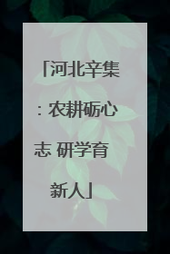 河北辛集：农耕砺心志 研学育新人