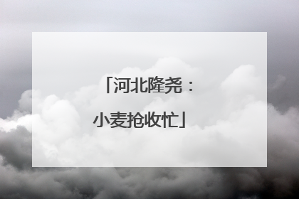 河北隆尧：小麦抢收忙