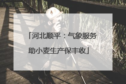 河北顺平：气象服务助小麦生产保丰收