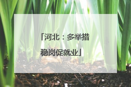 河北：多举措稳岗促就业