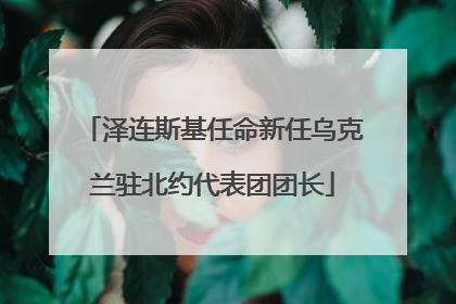 泽连斯基任命新任乌克兰驻北约代表团团长