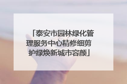 泰安市园林绿化管理服务中心精修细剪护绿焕新城市容颜
