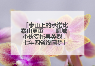 泰山上的承诺比泰山更重——聊城小伙受托寻英烈，七年四省终圆梦