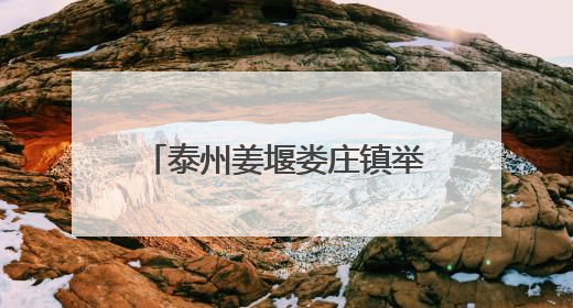 泰州姜堰娄庄镇举办端午系列活动