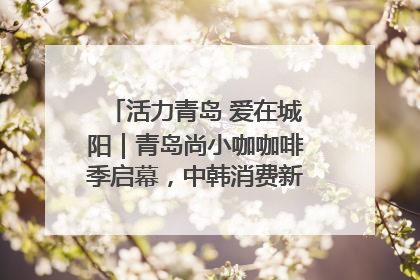 活力青岛 爱在城阳｜青岛尚小咖咖啡季启幕，中韩消费新场景点燃夏日热情