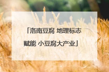 洛南豆腐 地理标志赋能 小豆腐大产业