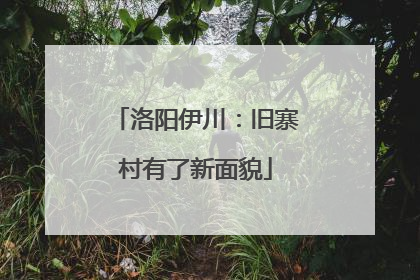 洛阳伊川：旧寨村有了新面貌