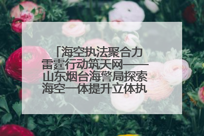 海空执法聚合力 雷霆行动筑天网——山东烟台海警局探索海空一体提升立体执法效能纪实