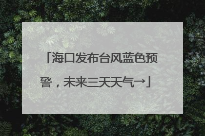 海口发布台风蓝色预警，未来三天天气→