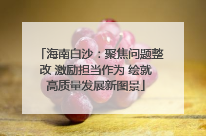 海南白沙：聚焦问题整改 激励担当作为 绘就高质量发展新图景