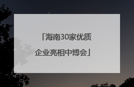 海南30家优质企业亮相中博会