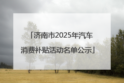 济南市2025年汽车消费补贴活动名单公示