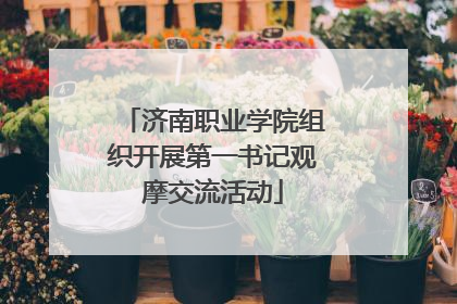 济南职业学院组织开展第一书记观摩交流活动