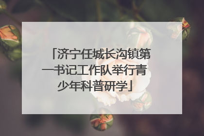 济宁任城长沟镇第一书记工作队举行青少年科普研学