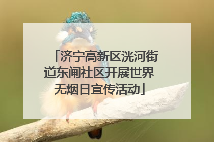 济宁高新区洸河街道东闸社区开展世界无烟日宣传活动