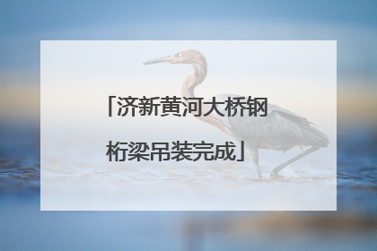 济新黄河大桥钢桁梁吊装完成