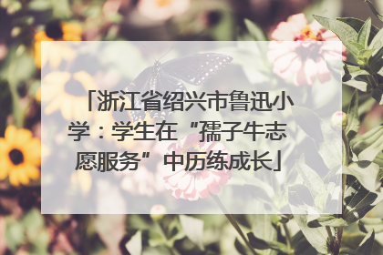 浙江省绍兴市鲁迅小学：学生在“孺子牛志愿服务”中历练成长