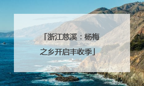 浙江慈溪：杨梅之乡开启丰收季