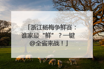 浙江杨梅争鲜赛：谁家最“鲜”？一键@全省来战！