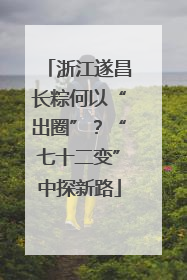 浙江遂昌长粽何以“出圈”？“七十二变”中探新路