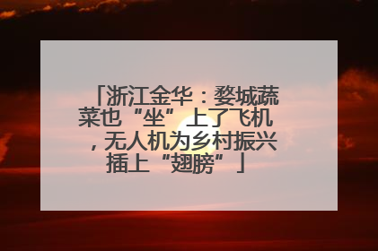 浙江金华：婺城蔬菜也“坐”上了飞机，无人机为乡村振兴插上“翅膀”