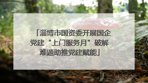淄博市国资委开展国企党建“上门服务月”破解难题助推党建赋能