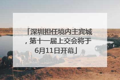 深圳担任境内主宾城，第十一届上交会将于6月11日开幕